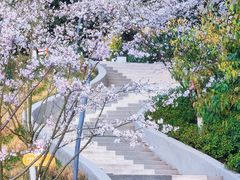 -杭州少年儿童公园