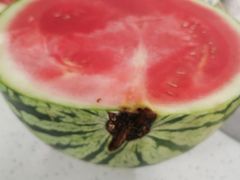 -全而廉(靖宇中路店)