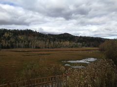 -五营红松林海景区