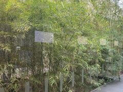 -汕头大学-图书馆