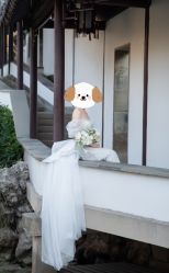 -蒙太奇婚纱摄影(万达店)