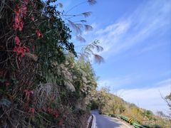 -金堂县云顶石城风景区