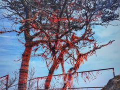 -大连天门山国家森林公园