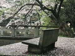 -武汉大学-樱园