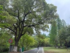 -采石矶景区