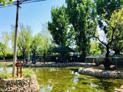 -静之湖湖畔餐厅