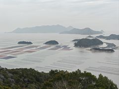 -花竹村