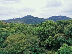 -白马涧龙池景区