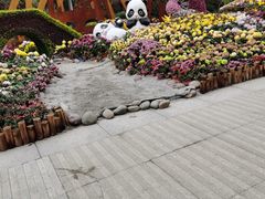 -南山植物园