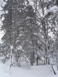 -大秃顶子山