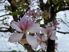 -梅州天地人花园酒店(梅县人民广场店)