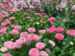 -云南民族大观园