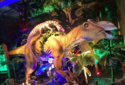 -恐龙探索乐园(磁器口店)