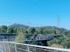 -仙岳公园