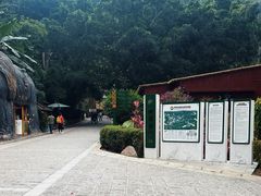 -野象谷景区