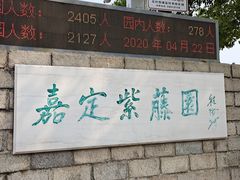 -嘉定紫藤园