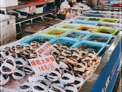 -南沙十九涌渔人码头-南门