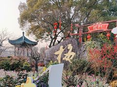 -无锡梅园公园