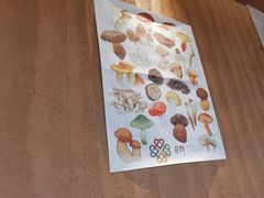 -滇野云南野生菌餐厅(陕西南路店)