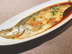 黄椒葱油大黄鱼-羲和雅苑•北京烤鸭(瑞吉店)