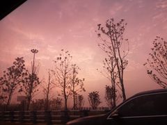 -大渔铁板烧(蛇口店)