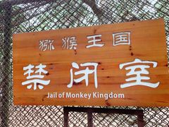 -亚龙湾海底世界