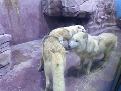 -多彩贵州城极地海洋世界