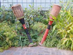 -呀路古热带植物园