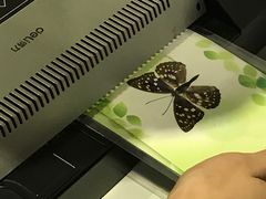 -上海昆虫博物馆