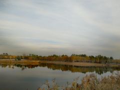 -东郊湿地公园