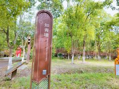-东平国家森林公园