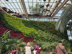 -石家庄市植物园