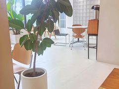 -bear cafe熊咖啡(和平中路店)