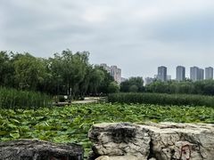 -太阳宫公园