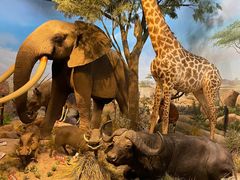 -陕西自然博物馆