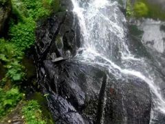 -凤凰山国家森林公园
