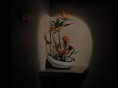 -穹六人间 people 6(岳阳路店)