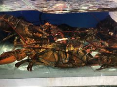 -盒马鲜生(红莲店)