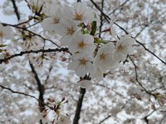 -龙美术馆(西岸馆)