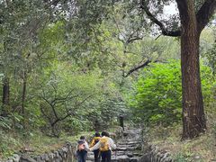 -阳台山自然风景区