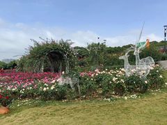 -立新湖公园
