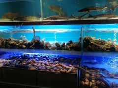 -喜庭海鲜自助(来福士店)