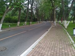 -棒棰岛宾馆景区