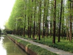 iphone_upload_pic-上海怡沁园度假酒店