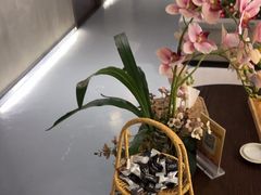 -施奈儿.洗头頭療.按摩SPA.采耳(上梅林店)