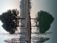 -沙家浜风景区