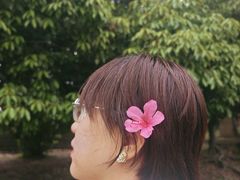 -心斋桥