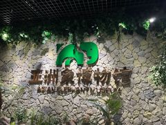 -野象谷景区