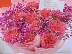 -予荷舞蹈(盛景校区)