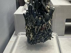 -湖南省地质博物馆